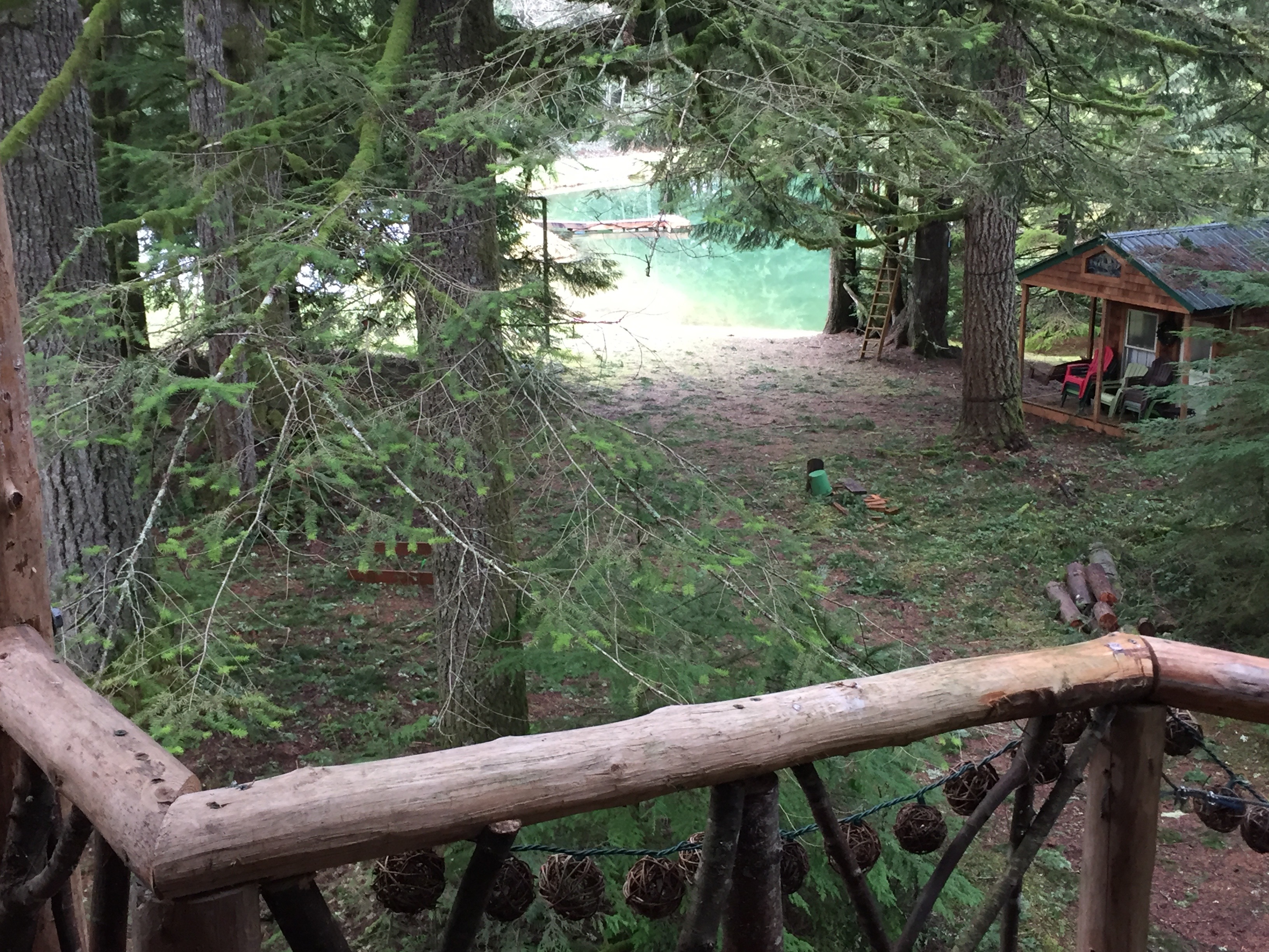 treehouse view